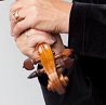 Amy Tyson, violin